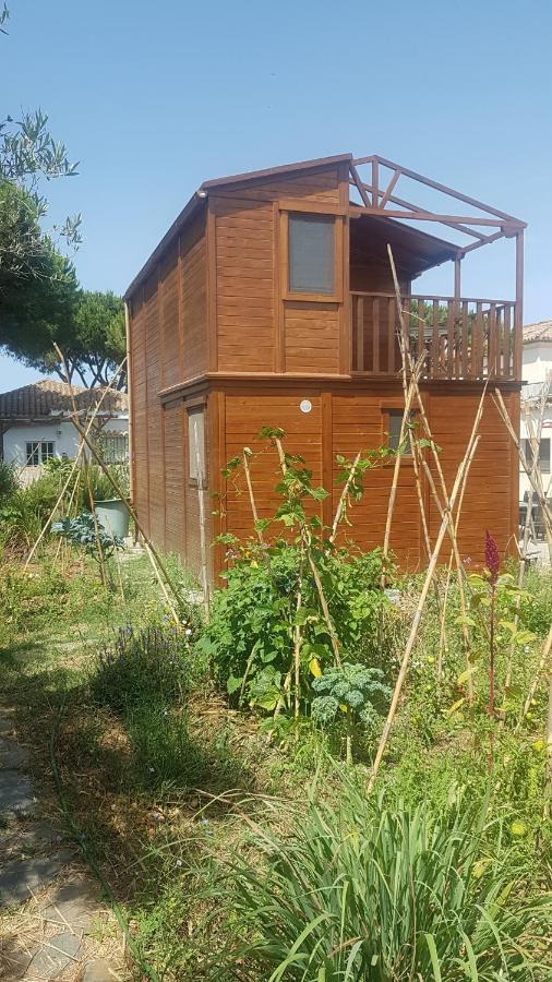 Casa De Madera De Sancti Petri Villa Чиклана де ла Фронтера Екстериор снимка
